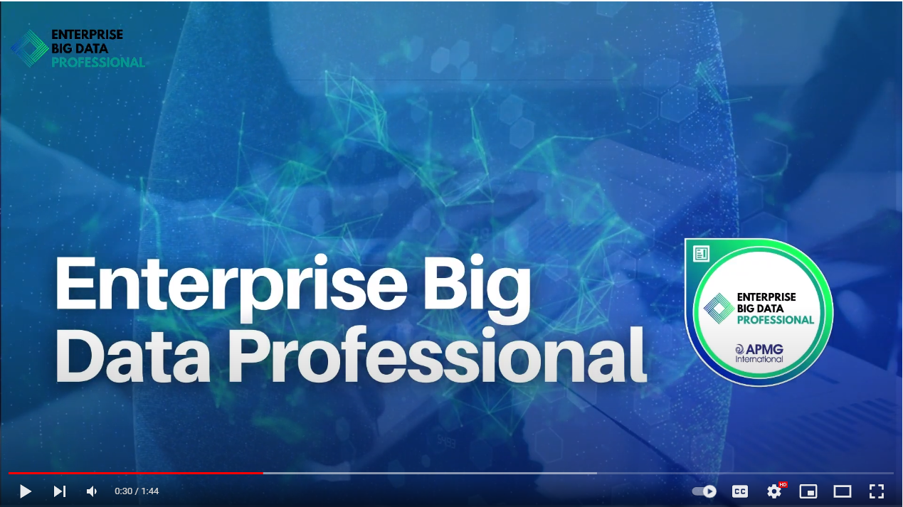 Enterprise Big Data Professional Course Outline