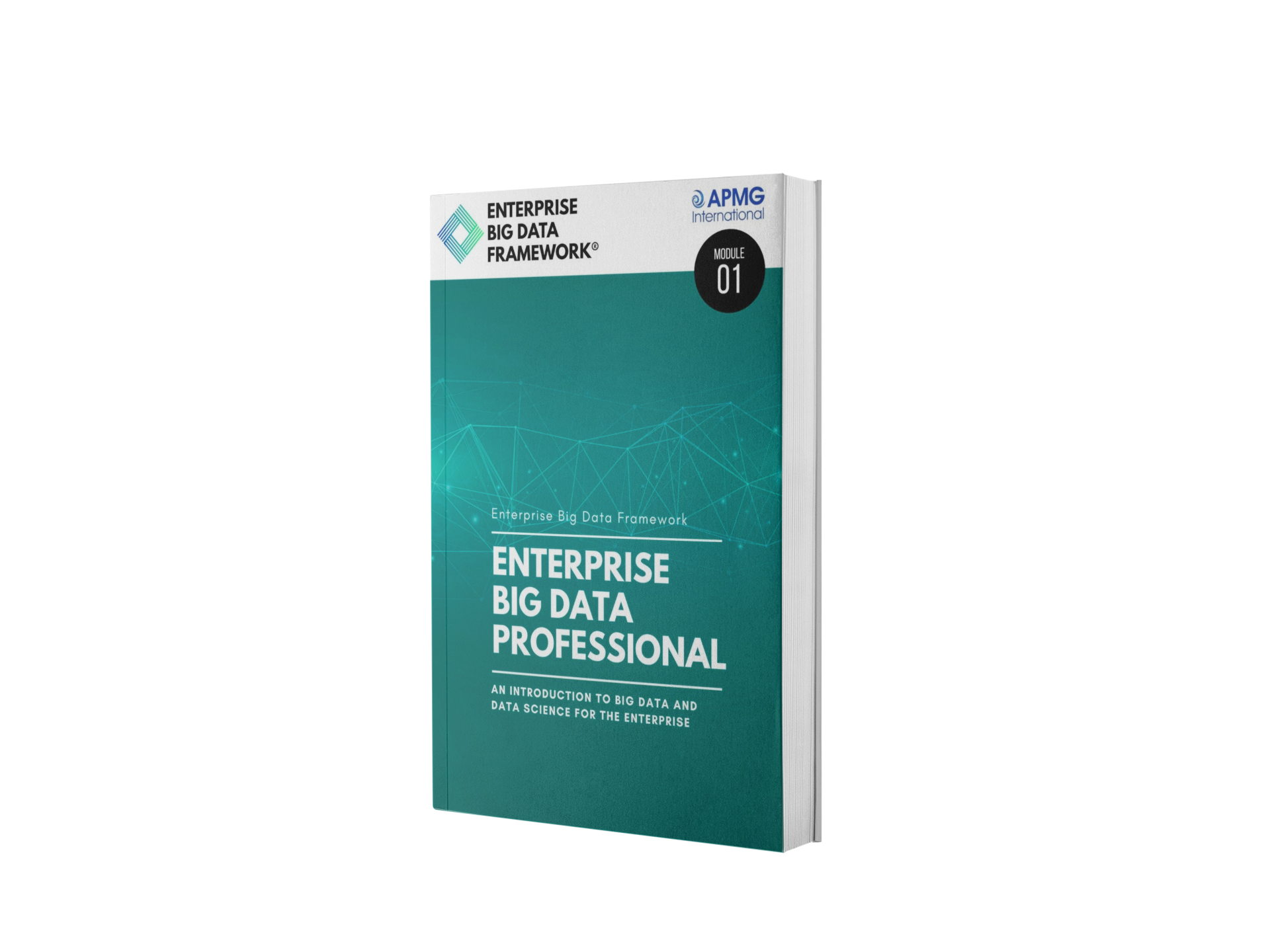 Enterprise-Big-Data-Professional-Guide Enterprise Big Data Professional Guide