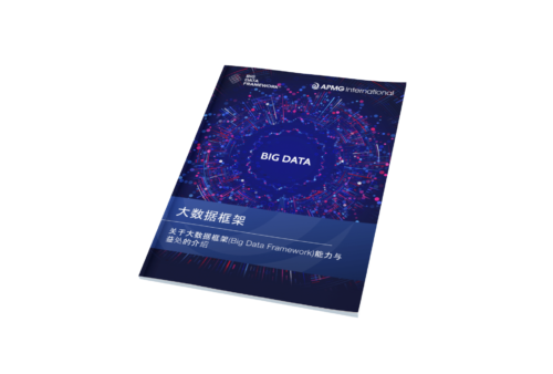 Big Data Framework White Paper Chinese