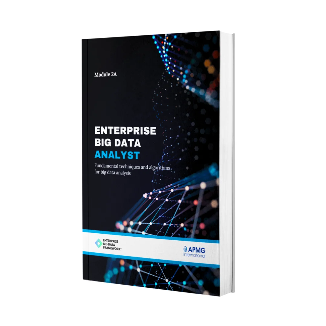 Enterprise Big Data Analyst Official Guide